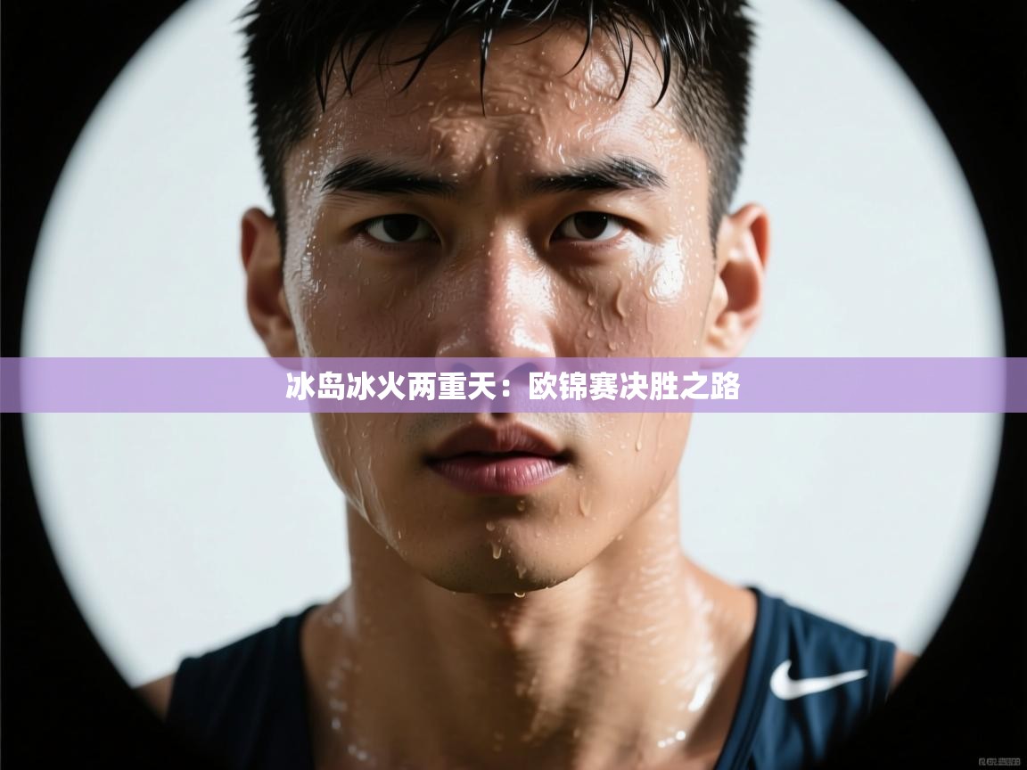 冰岛冰火两重天：欧锦赛决胜之路  第1张