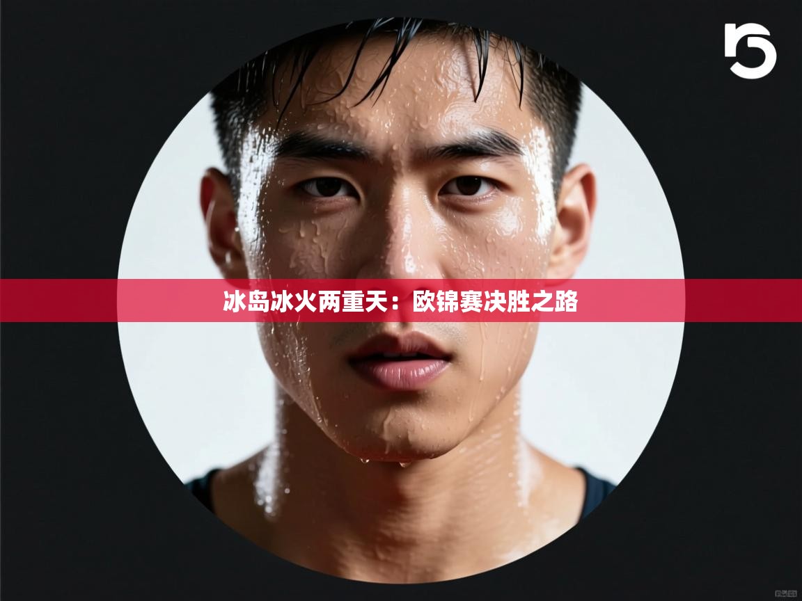 冰岛冰火两重天：欧锦赛决胜之路  第2张