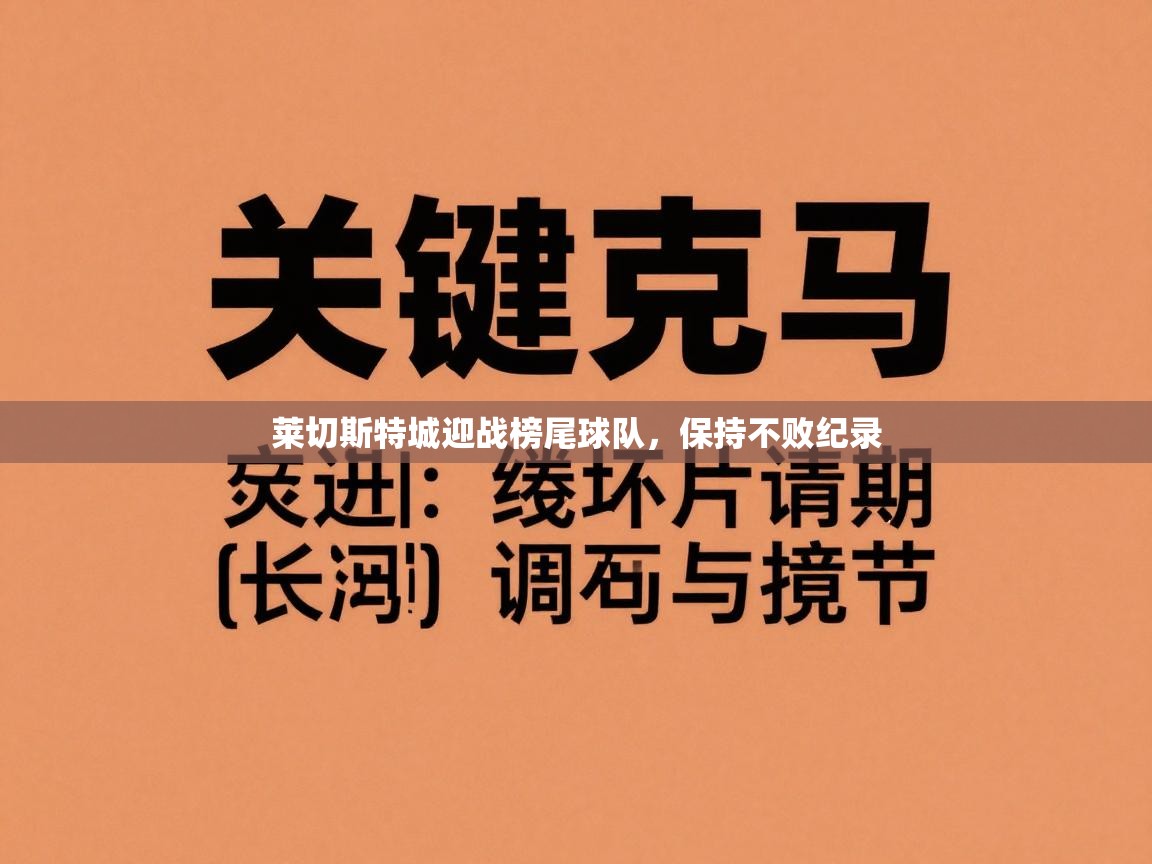 莱切斯特城迎战榜尾球队，保持不败纪录  第1张