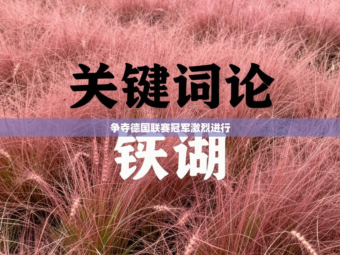 争夺德国联赛冠军激烈进行  第2张